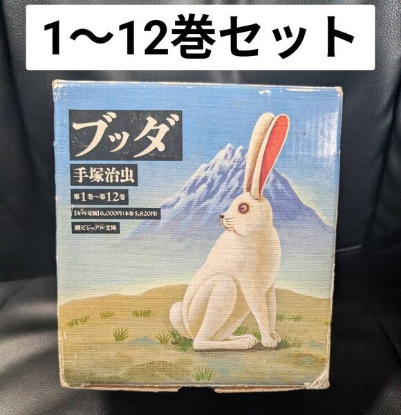 ブッダ 手塚治虫 全巻 1~12巻セット 特製BOX付
