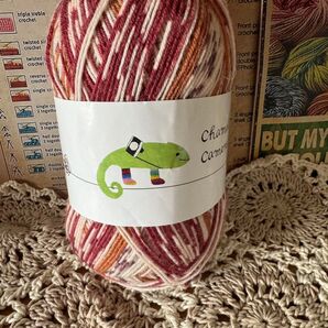 カメレオンカメラ 毛糸 100g カメレオン カメラ 2ウール ソックヤーン chameleon 段染め