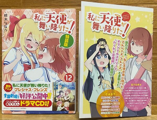 私に天使が舞い降りた!特装版12巻