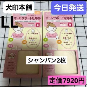 犬印 オールサポート妊婦帯 新品 シャンパン LLサイズ 2枚セット 犬印本舗 パンツ妊婦帯 腹帯 犬印妊婦帯