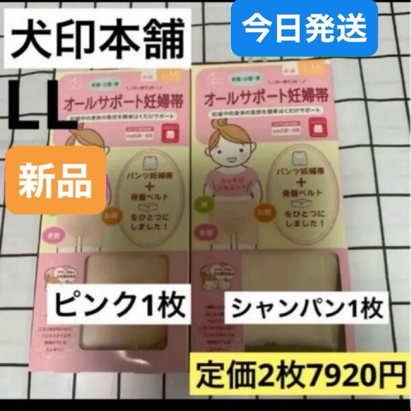 犬印 オールサポート妊婦帯 新品 LLサイズ ピンク1枚&シャンパン1枚 パンツ妊婦帯 犬印本舗 腹帯 マタニティ 妊婦帯