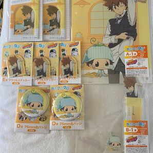 家庭教師ヒットマンREBORN! カミアニくじ 朝支度 沢田綱吉