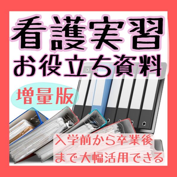 【超時短】看護実習お役立ち資料(看護過程)