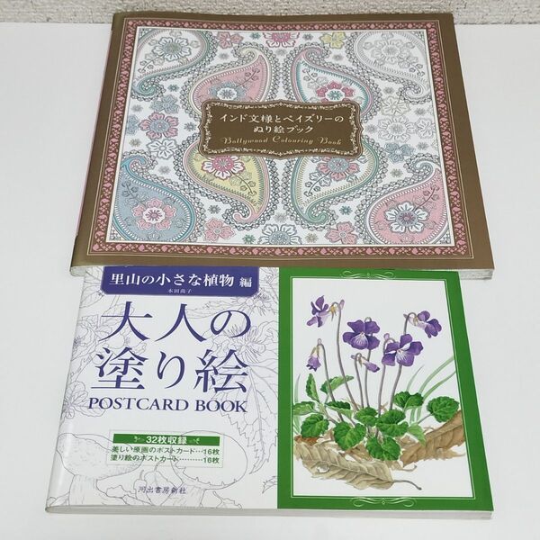 【2冊】インド文様とペイズリーのぬり絵ブック/大人の塗り絵