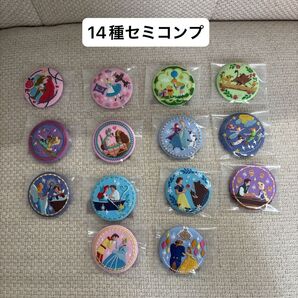 ディズニー Disney Characters 刺繍缶バッジ 刺繍ブローチ 14種セミコンプリート