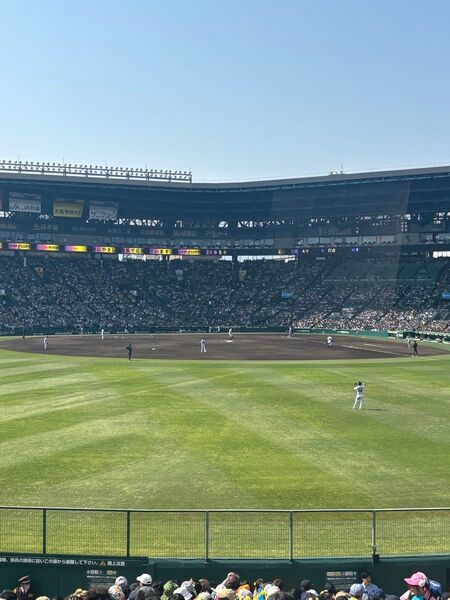 7月30日水曜日阪神タイガース対 広島戦2枚レフト連番