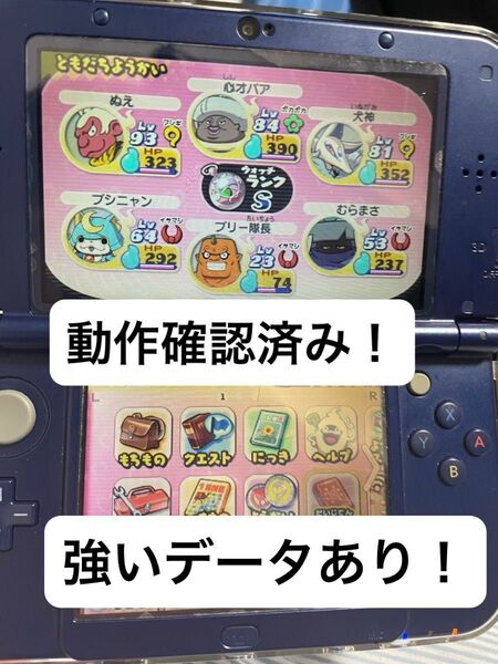 【早い者勝ち】動作確認済 妖怪ウォッチ2 真打 ソフトのみ ニンテンドー3DS データあり 即日発送