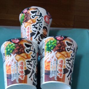 日清食品 濃厚味噌みそきんラーメン 3個セット