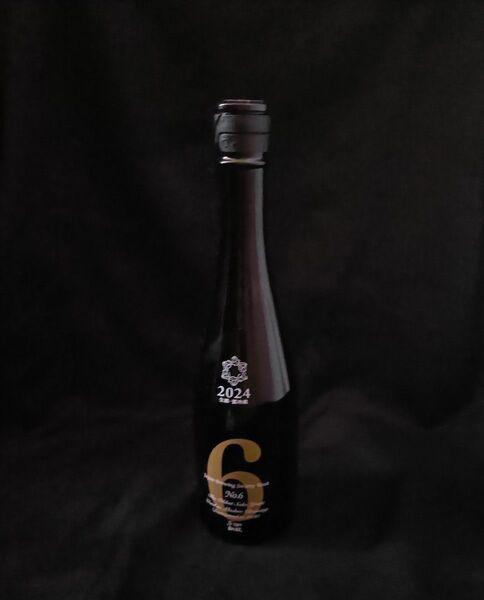 新政酒造 ナンバー6 Stype