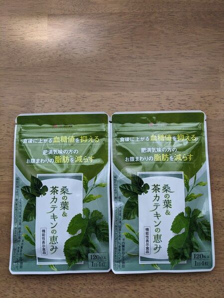 和漢の森 桑の葉&茶カテキンの恵み 120粒入 2袋