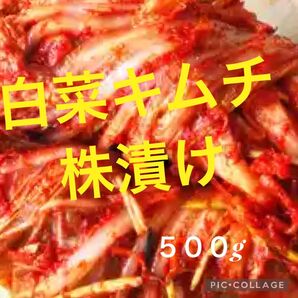味に自信あり!白菜キムチ500g クール宅急便