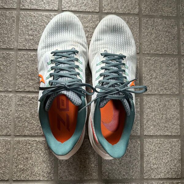 NIKE ナイキ エアズームペガサス39 グレー 28.5cm
