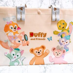 【在庫ラストで終売】日本未入荷 折りたたまずに発送 上海ディズニー限定 ショッピングバッグ Sサイズ 1袋 オルメル エコバッグ