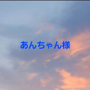 あんちゃん様 専用ページ