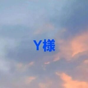 Y様 専用ページ