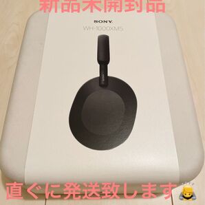 SONY WH-1000XM5