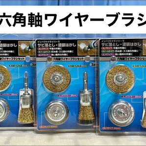 藤原産業 E-Value 六角軸ワイヤーブラシセット 3種類 3セット