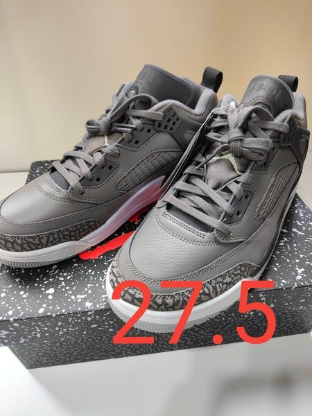 NIKE AIR JORDAN スパイジーク Low 27.5cm