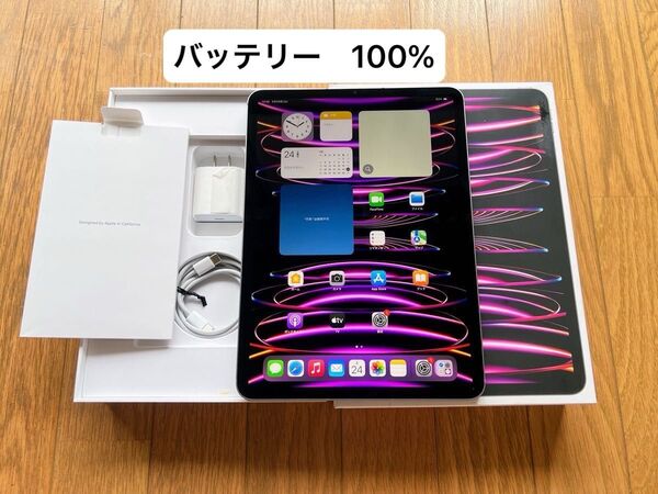 iPad Pro 11インチ M2チップ(第4世代)スペースグレイ 128GB Cellular+ Wi-Fiモデル SIMフリー