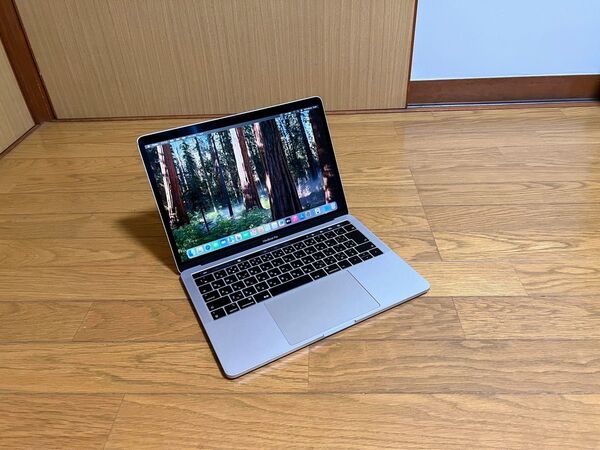 Apple MacBook Pro 13インチ 2019 i5/8GB/128GB