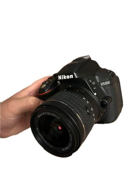 ニコン nikon d5300 af-p 18-55 ジャンク