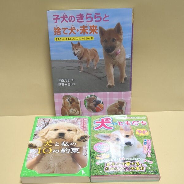 子犬のきららと捨て犬・未来、犬と私の10の約束、犬とともだち 3冊セット
