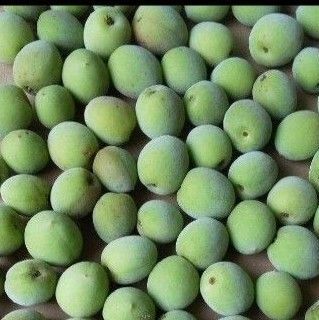 栃木県産 無農薬 小梅 ゆうパケット いっぱい 1kg ちょっと