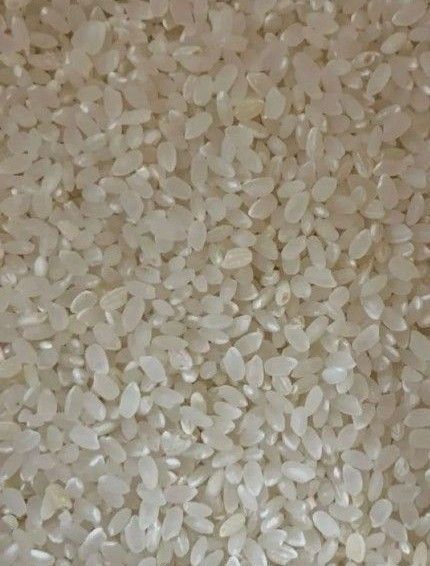 新米 20kg 16900円!!(wクーポン使いで) 令和6年産 銀河のしずく 白米 精米