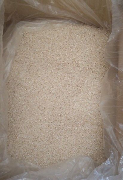 新米 10kg 7920円!!(wクーポン使いで) 令和6年産 銀河のしずく 白米 精米