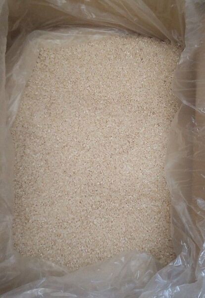 新米 10kg 7920円!! (wクーポン使いで) 令和6年産 銀河のしずく 白米 精米