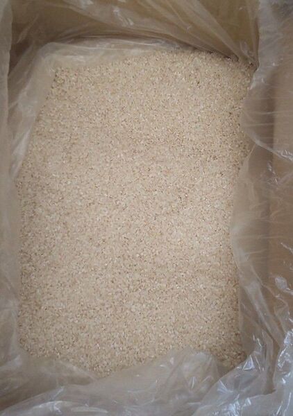 21.5 kg 15400円 !! (wクーポン使いで) 栃木県産 古米 白米