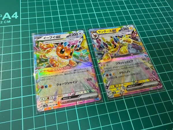 ポケモンカードゲーム テラスタルフェスex イーブイ サンダース シャワーズ ブースター ブラッキー エーフィ RR 6枚セット