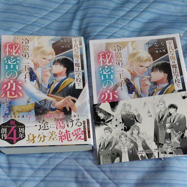 平凡な俺は魔法学校で、冷徹第二王子と秘密の恋をする (&arche NOVELS) ゆなな/〔著〕