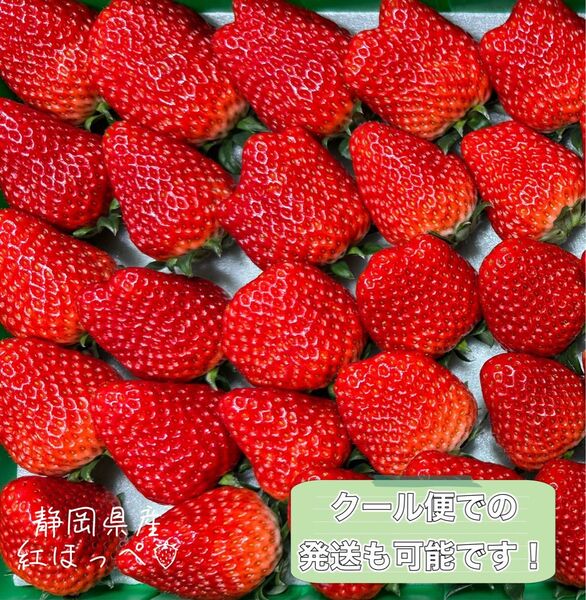 大粒〜中粒 紅ほっぺ いちご 〜農家直送〜