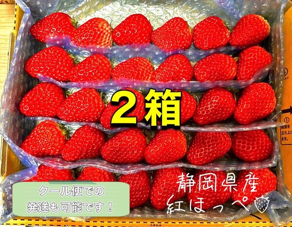 【二箱】大粒〜中粒 紅ほっぺ いちご 〜農家直送〜