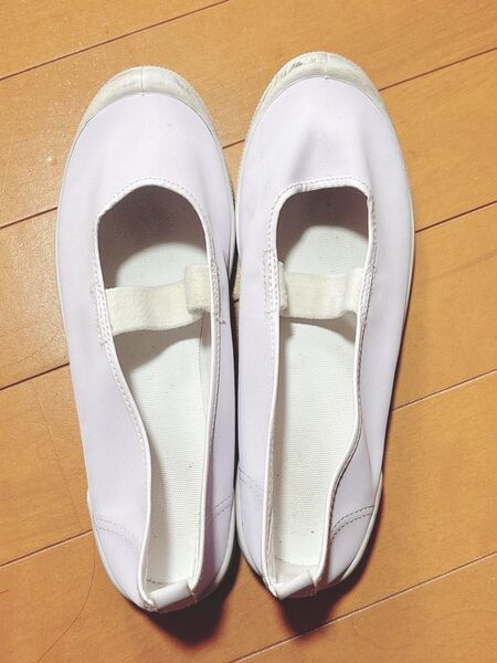 バレーシューズ 上履き 上靴 スクールシューズ 白(24.0cm)
