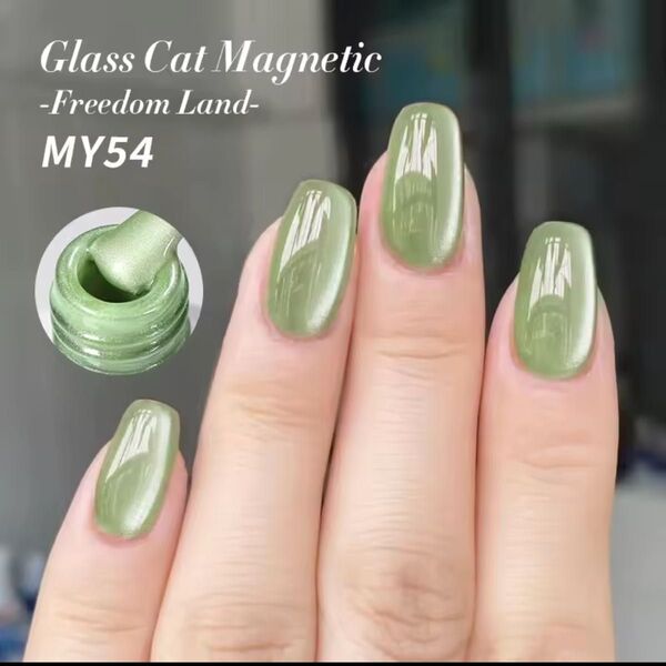 グラス キャット マグネットジェル 10ml ボーンプリティー MY54 ジェルネイル ネイルアート
