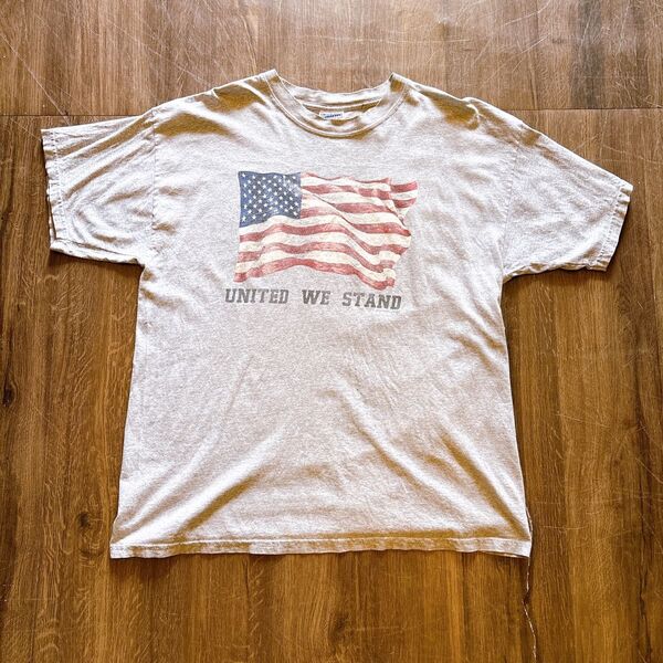 【入手困難】2000's 00s 古着 GILDAN USA アメリカンヴィンテージ 半袖Tシャツ