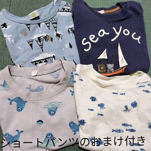 アカチャンホンポ、H&M、西松屋 半袖Tシャツ4枚セット 80〜95