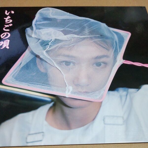 銀杏BOYZ 劇場限定CD いちごの唄 峯田和伸 GOING STEADY