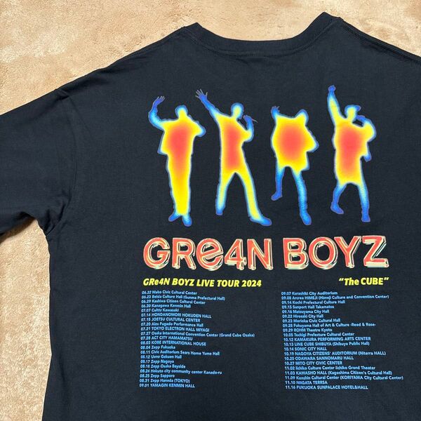 GRe4N BOYZ グリーンボーイズ ツアー Tシャツ Mサイズ GReeeeN バンドTシャツ