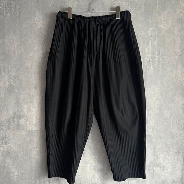 HOMME PLISSE ISSEY MIYAKE プリーツ ワイドパンツ 2
