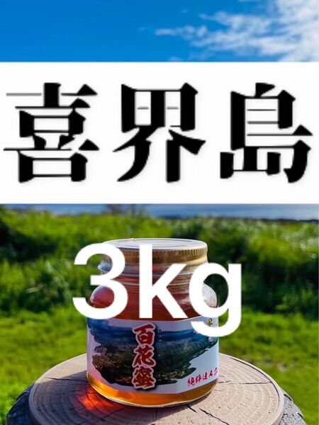 喜界島 百花蜜 3kg 蜂蜜 国産