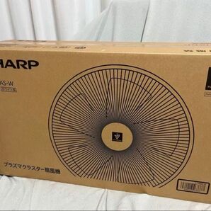 新品 シャープ プラズマクラスター 扇風機 PJ-R3AS PJ-R3AS-W サーキュレーター