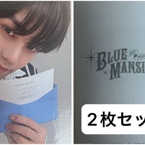 BLUE MANSION ギュビン ランダムトレカ 2枚セット