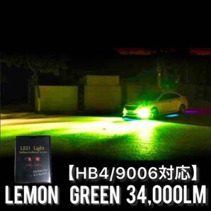 フォグランプ HB4アップルグリーン34000LM 光軸調整可能