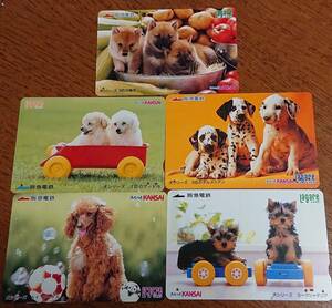 * used *. sudden electro- iron la girl card dog series 5 sheets set 