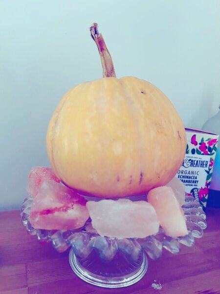 自然農法 かぼちゃ の 種 33粒 + おまけ