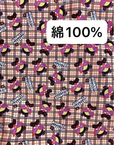 特別価格 ハンドメイド生地 ヒスミニ
