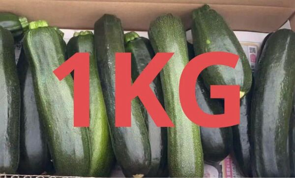 【信州産】おいしい♪ ズッキーニ 箱込み1kg分 旬の野菜 長野県産